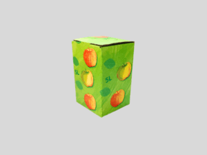 Bag in Box Karton für 5L -Beutel
